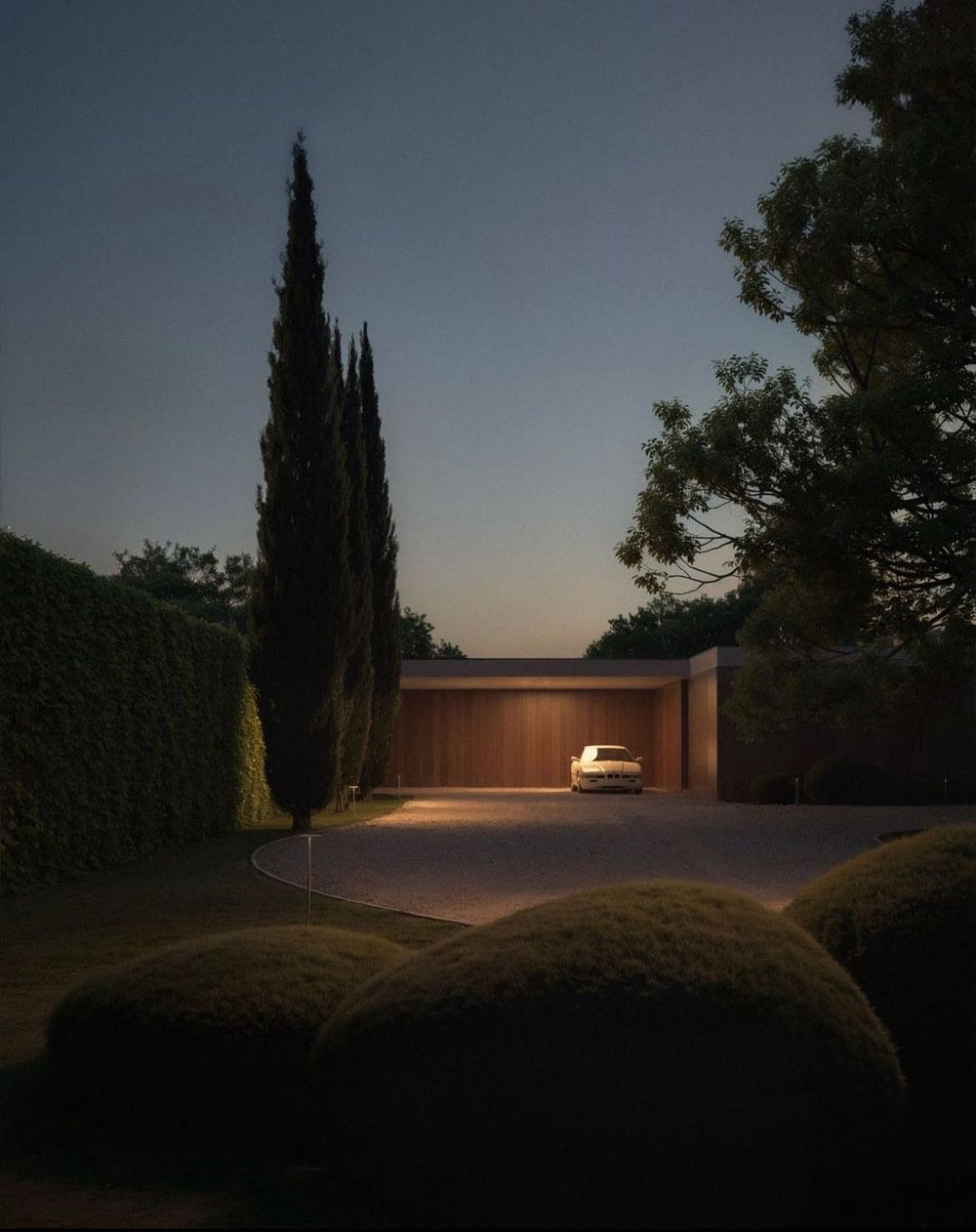 A quiet driveway and cypress trees at dusk.