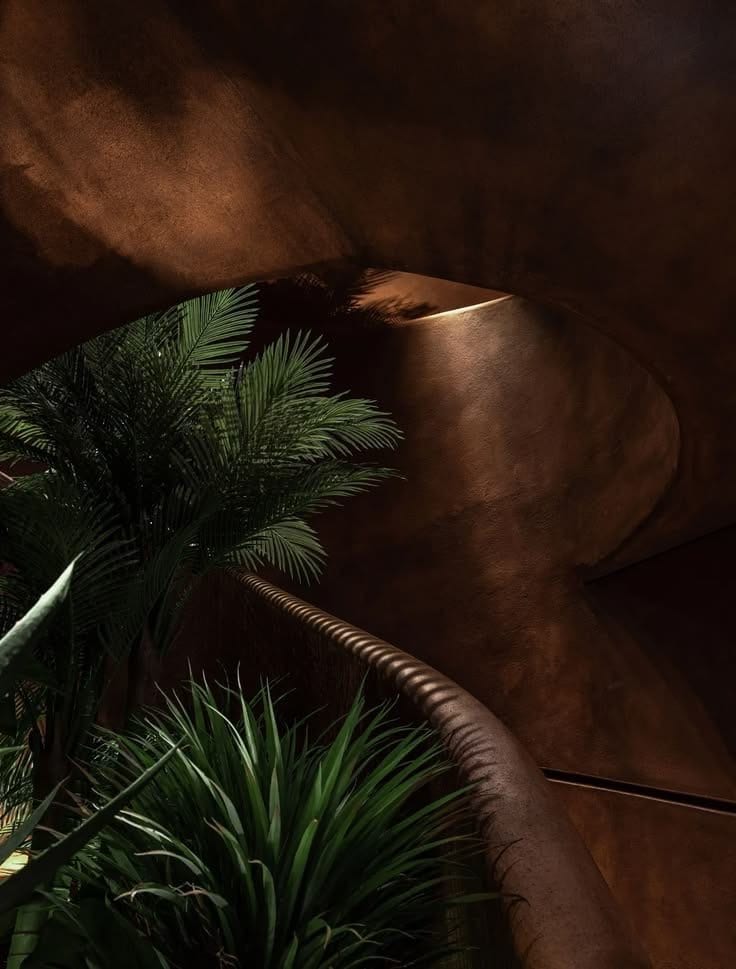 Palm leaves in a dark, warm room.